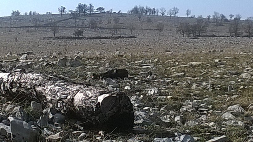 C7IVeyhXkAEwQMA.jpg:large